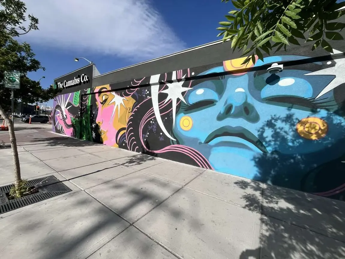 The Cannabis Co. Storefront